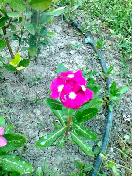 Name:  Fotoraf3210.jpg
Views: 706
Size:  79.6 KB