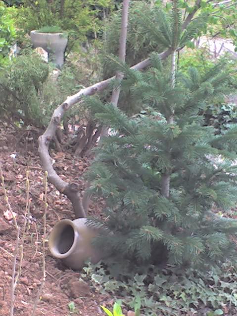 Name:  06-04-08_1452.jpg
Views: 2114
Size:  61.9 KB