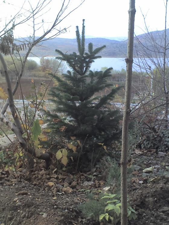 Name:  08-12-08_1410.jpg
Views: 2067
Size:  83.0 KB