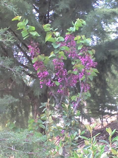 Name:  23-04-08_1737.jpg
Views: 2080
Size:  62.4 KB