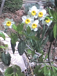 Name:  06-04-08_1437.jpg
Views: 2038
Size:  47.5 KB
