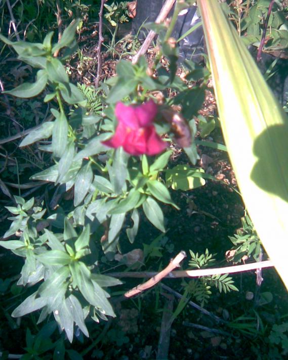 Name:  balkaz2.jpg
Views: 311
Size:  74.7 KB