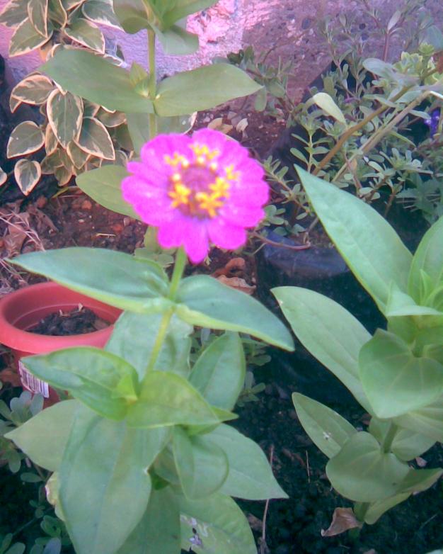 Name:  k.4.jpg
Views: 628
Size:  71.5 KB