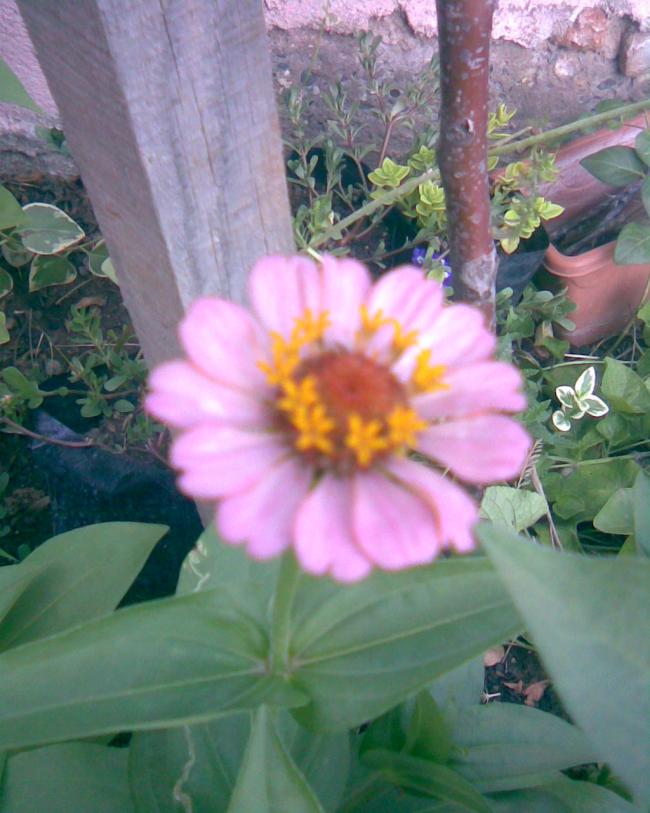 Name:  k.5.jpg
Views: 598
Size:  66.5 KB