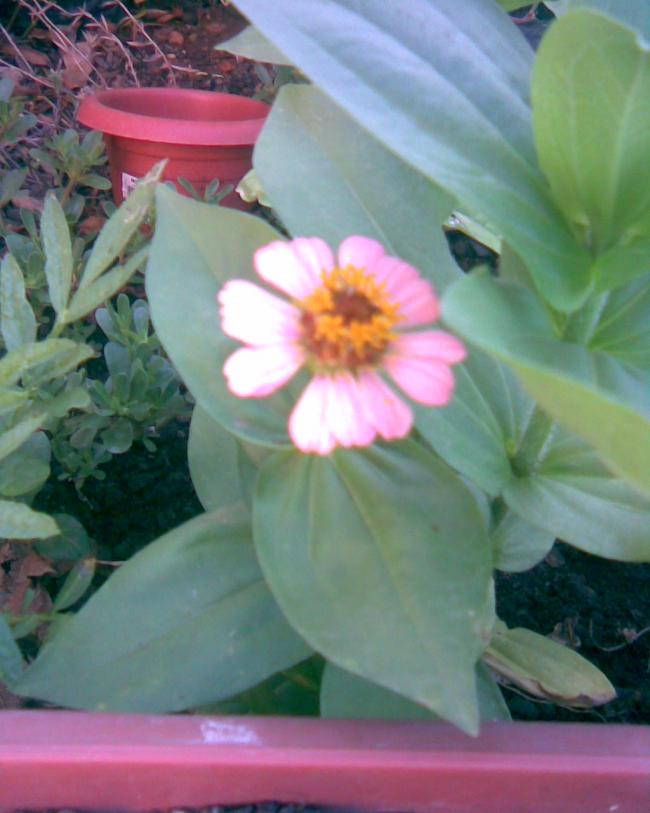 Name:  k.8.jpg
Views: 636
Size:  52.7 KB