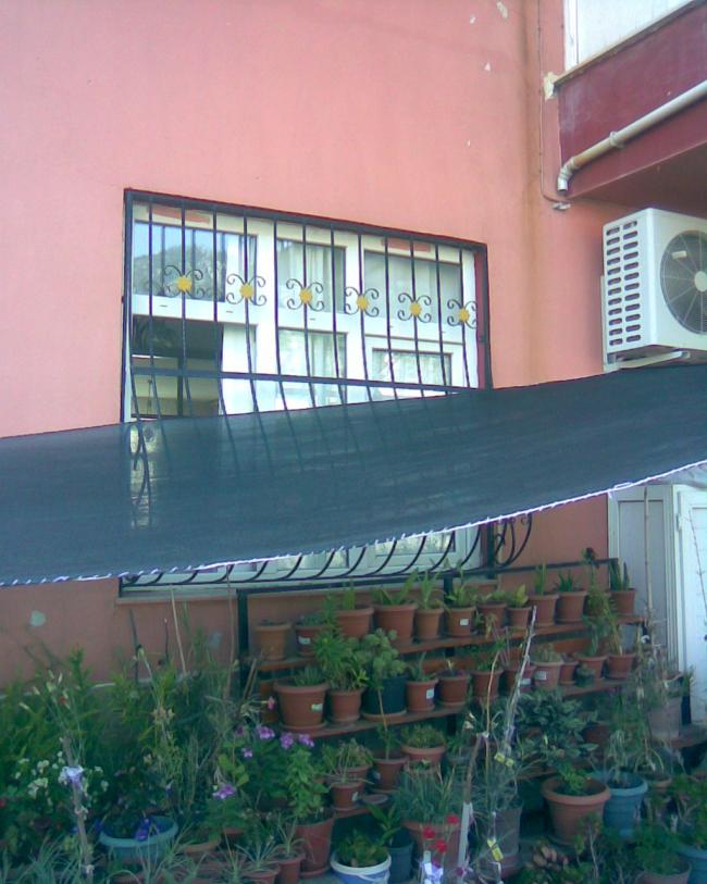 Name:  rt 0.jpg
Views: 562
Size:  68.0 KB