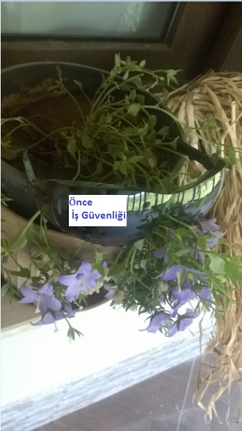 Name:  Koruma gzl.jpg
Views: 693
Size:  68.9 KB