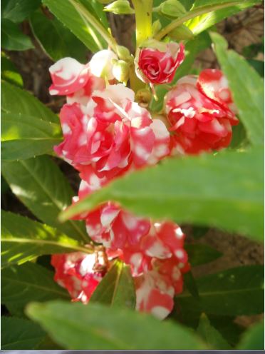 Name:  k3.JPG
Views: 275
Size:  38.4 KB