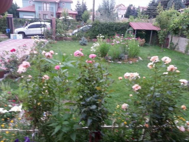 Name:  11825545_10153541555978415_4574332023824404266_n-640x640.jpg
Views: 322
Size:  62.7 KB