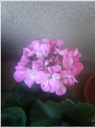 Name:  sar1.JPG
Views: 382
Size:  32.3 KB