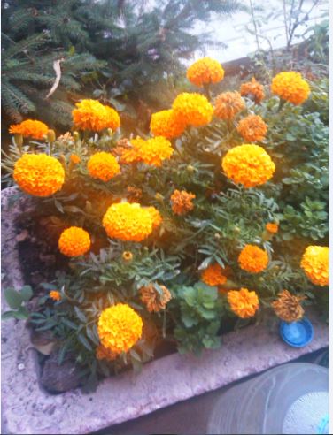 Name:  c.JPG
Views: 365
Size:  49.3 KB