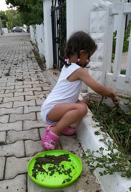 Name:  20150730_201309.jpg
Views: 568
Size:  77.9 KB