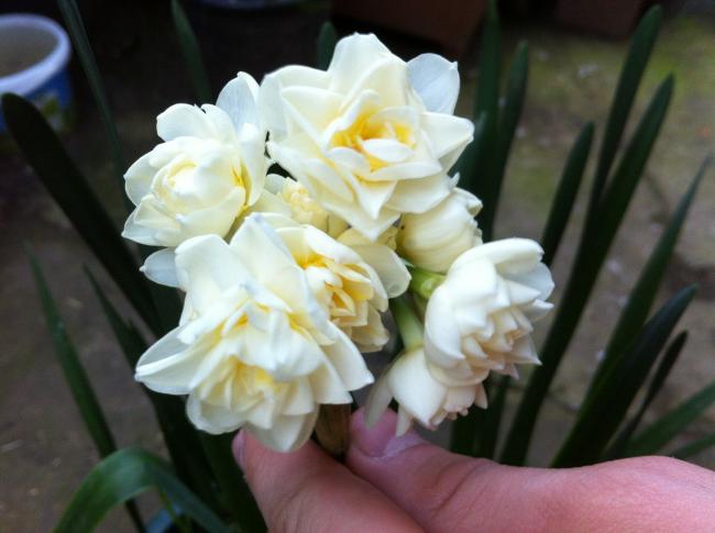 Name:  065.jpg
Views: 570
Size:  34.0 KB