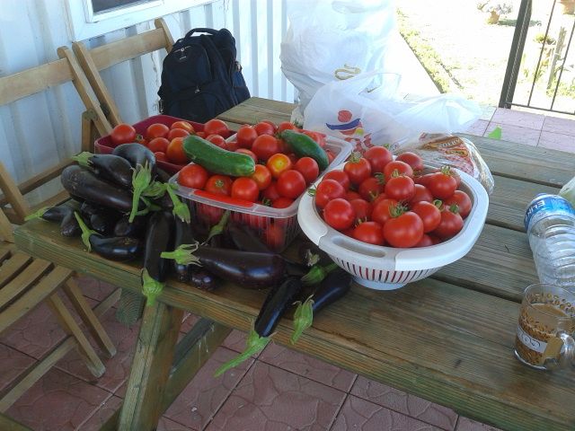 Name:  20150808_170145.jpg
Views: 1257
Size:  68.1 KB