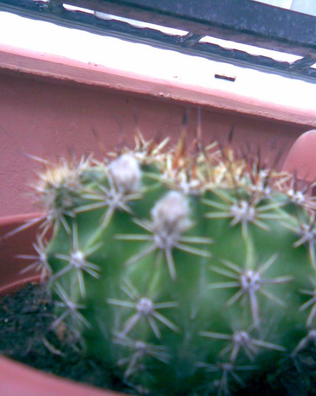 Name:  kakts11.jpg
Views: 694
Size:  55.1 KB