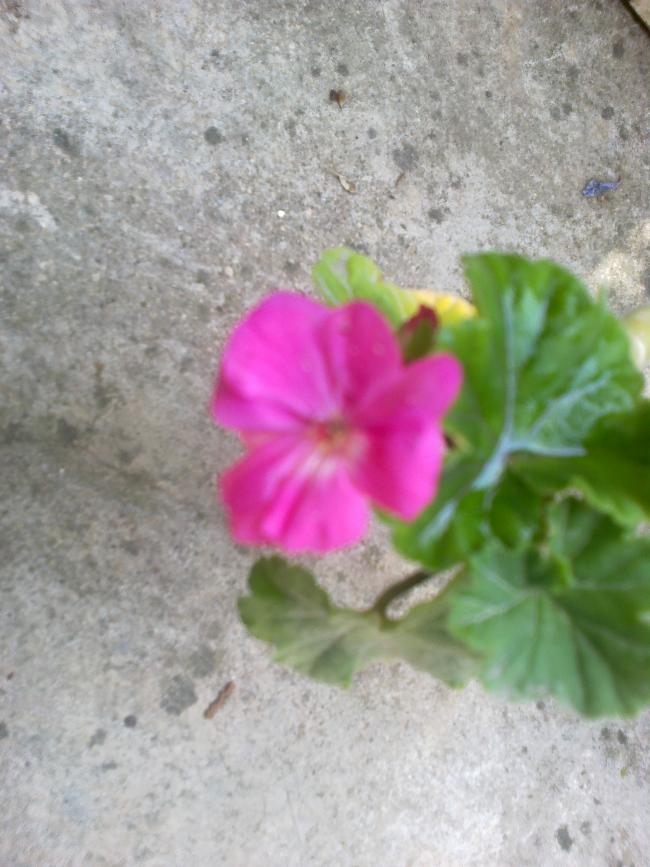 Name:  09082015554.jpg
Views: 792
Size:  68.6 KB