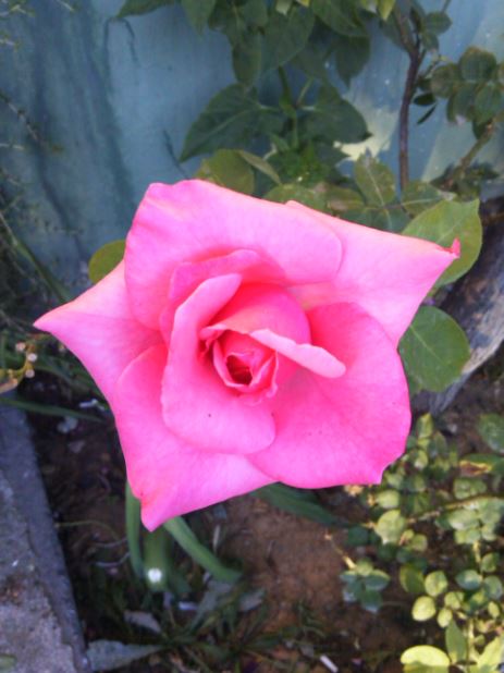 Name:  gu1.JPG
Views: 316
Size:  47.3 KB