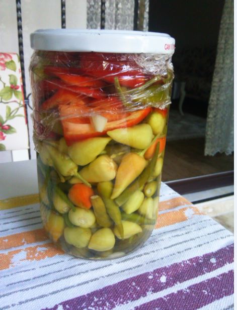 Name:  tur.JPG
Views: 498
Size:  58.3 KB