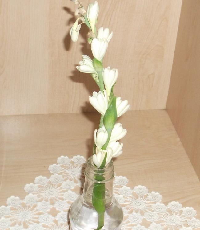 Name:  DSCF7720.jpg
Views: 930
Size:  43.9 KB