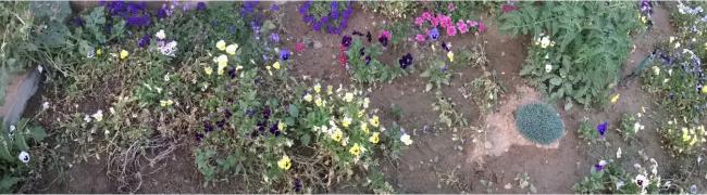 Name:  panoramik meneke taraf - 22.08.2015.jpg
Views: 505
Size:  35.9 KB