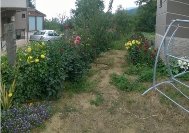 Name:  dahlia panoramik - 22.08.2015.jpg
Views: 525
Size:  54.2 KB