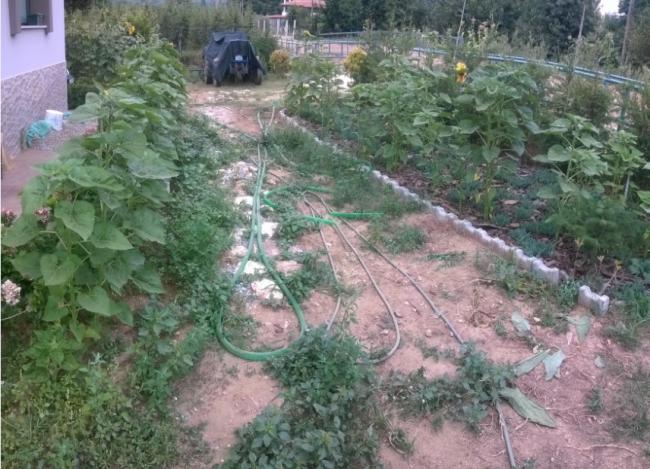 Name:  ayiekleri - 22.08.2015.jpg
Views: 497
Size:  63.8 KB