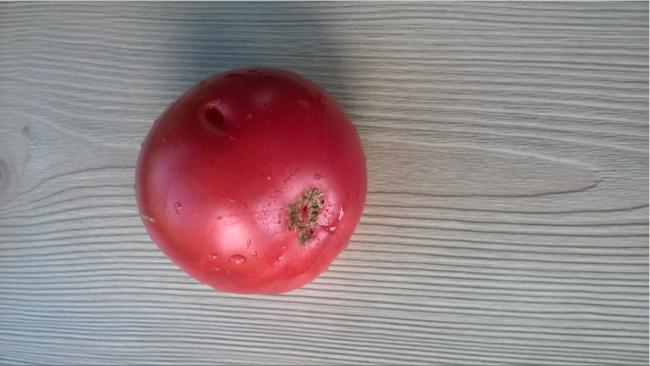 Name:  pembe arka -23.08.2015.jpg
Views: 498
Size:  32.3 KB