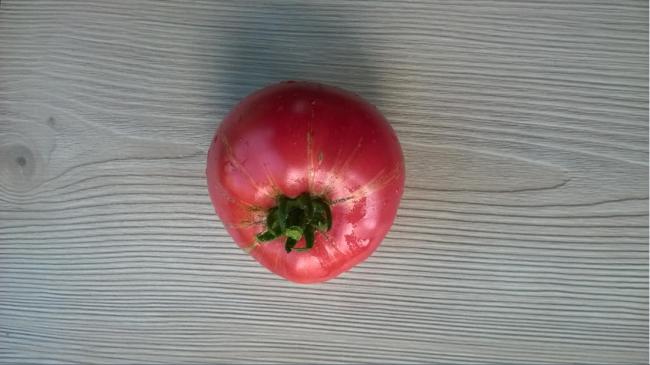 Name:  pembe n -23.08.2015.jpg
Views: 536
Size:  35.3 KB