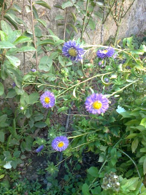 Name:  Fotoraf3275.jpg
Views: 583
Size:  77.9 KB