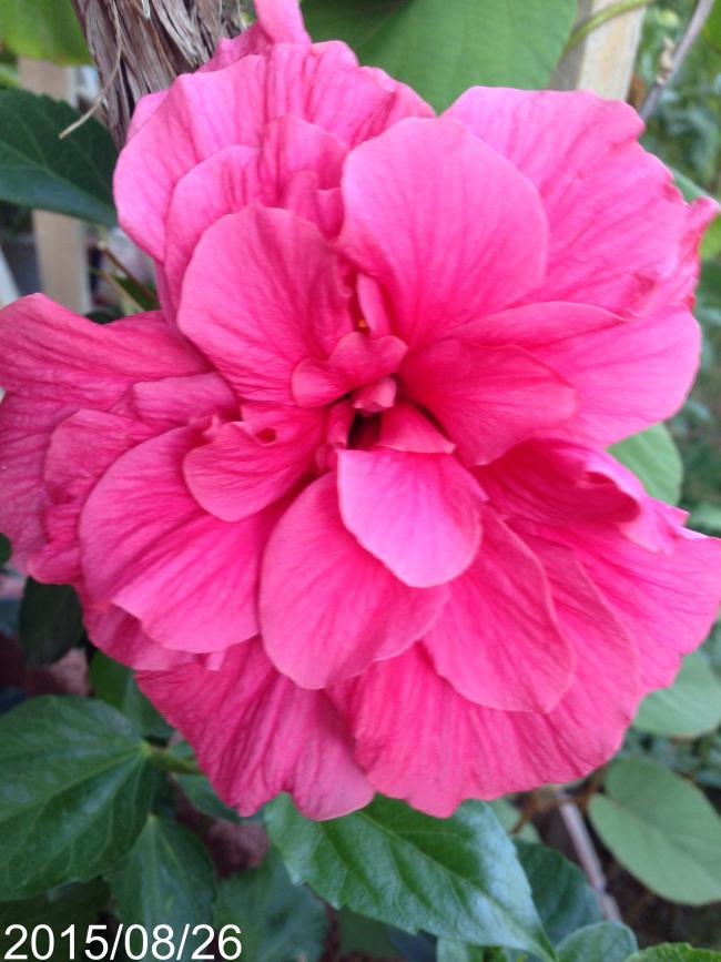 Name:  image.jpg
Views: 782
Size:  68.2 KB