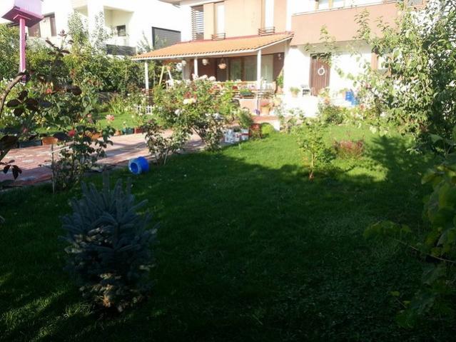 Name:  11896164_10153597057633415_6983779073633827600_n.jpg
Views: 338
Size:  60.1 KB