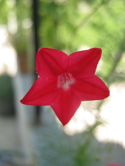 Name:  yldz adr.jpg
Views: 884
Size:  68.7 KB