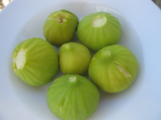 Name:  beyaz incir.jpg
Views: 972
Size:  52.5 KB
