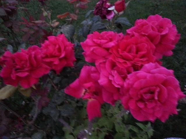 Name:  11933440_10153602828723415_8286705245681012941_n.jpg
Views: 408
Size:  40.7 KB