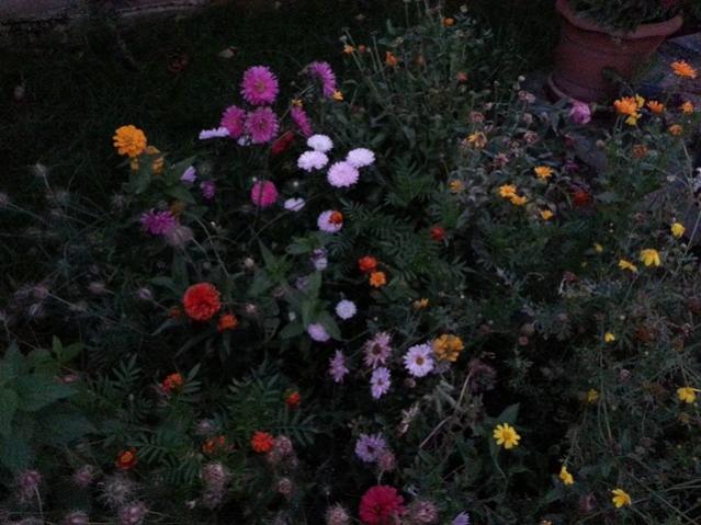 Name:  11986310_10153602830018415_7917177005401953160_n.jpg
Views: 368
Size:  50.1 KB
