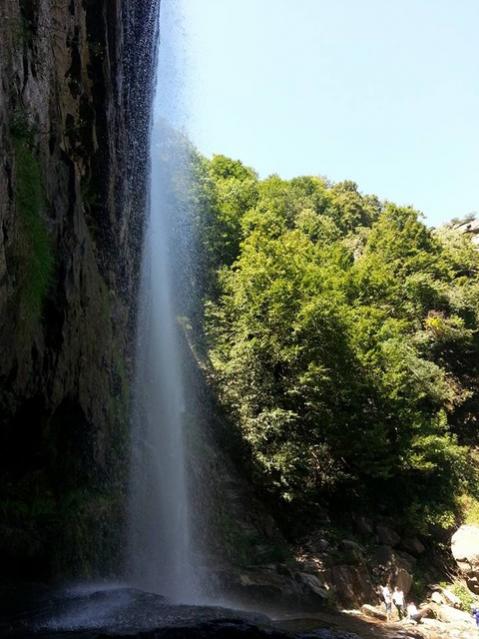 Name:  11986538_10153600789773415_5068476444702818741_n.jpg
Views: 438
Size:  50.5 KB