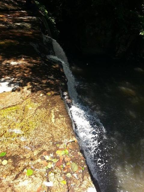 Name:  11027936_10153600667958415_5610052081454953065_n.jpg
Views: 421
Size:  57.2 KB
