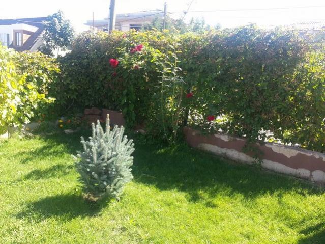 Name:  11947612_10153613738183415_5856895024801184661_n.jpg
Views: 631
Size:  68.9 KB