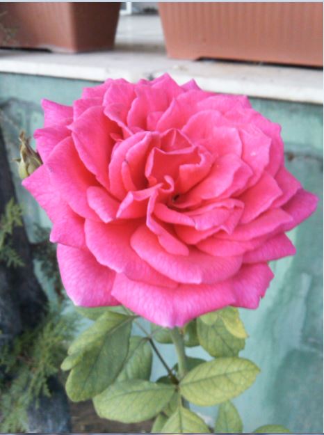 Name:  gu3.JPG
Views: 273
Size:  47.0 KB