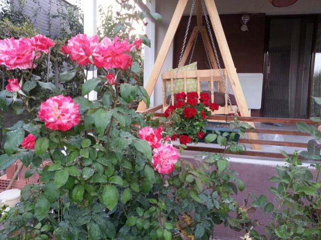 Name:  11057280_10153628790048415_5455728407286598750_n.jpg
Views: 574
Size:  61.4 KB