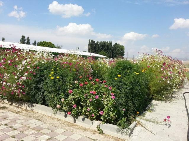 Name:  11986960_10153632804208415_4245537919520992956_n.jpg
Views: 315
Size:  63.0 KB