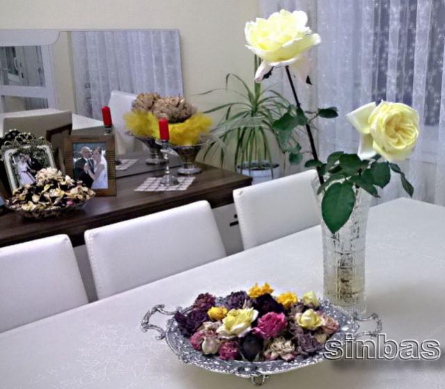 Name:  gondolda gl kurular.jpg
Views: 722
Size:  50.9 KB