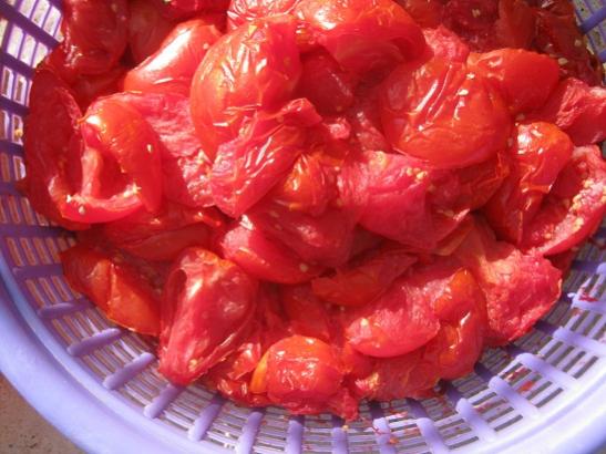 Name:  domates-geirilecek.jpg
Views: 755
Size:  41.8 KB