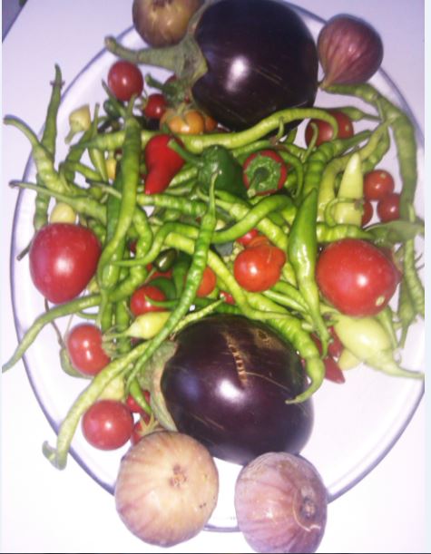 Name:  tu.JPG
Views: 308
Size:  52.6 KB