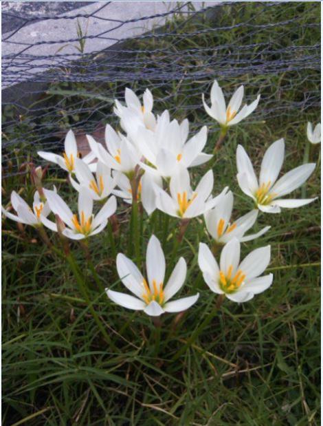 Name:  z3.jpg
Views: 409
Size:  57.6 KB