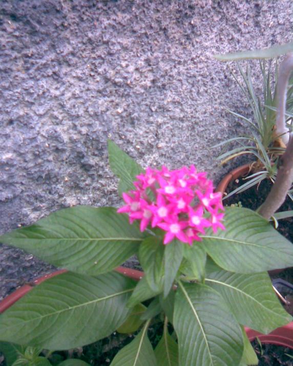 Name:  yldz iei.jpg
Views: 541
Size:  73.9 KB