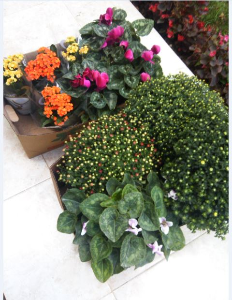 Name:  se1.JPG
Views: 347
Size:  67.5 KB