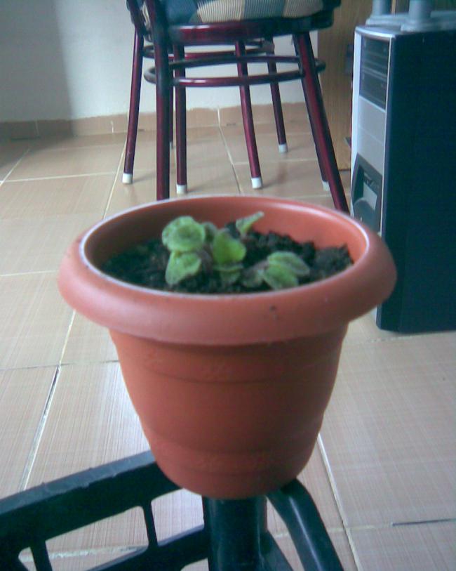 Name:  b-15.jpg
Views: 409
Size:  51.5 KB