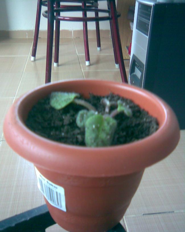 Name:  b-23.jpg
Views: 391
Size:  48.3 KB