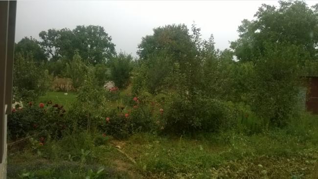 Name:  hazan 7-23.09.2015.jpg
Views: 538
Size:  38.8 KB